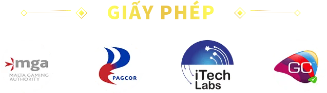 giay-phep
