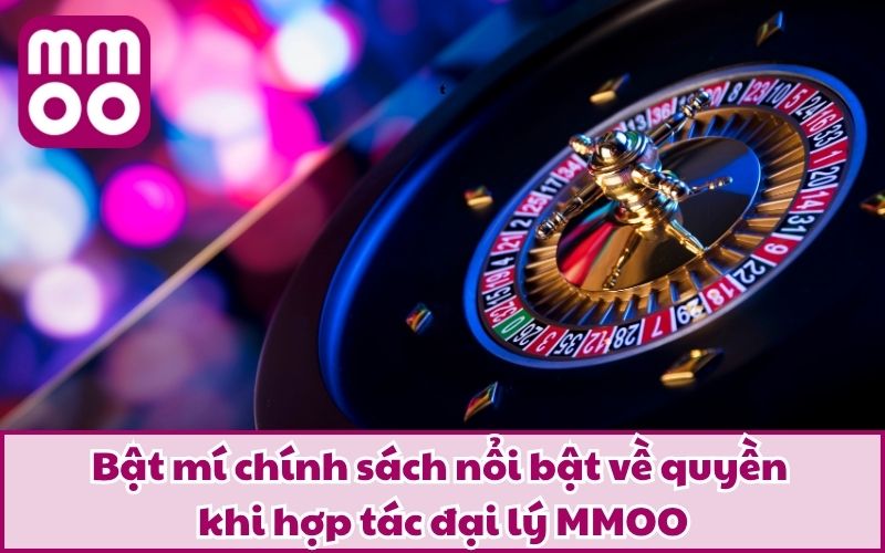 Bật mí chính sách nổi bật về quyền khi hợp tác đại lý MMOO