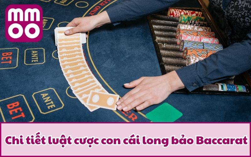 Chi tiết luật cược con cái long bảo Baccarat
