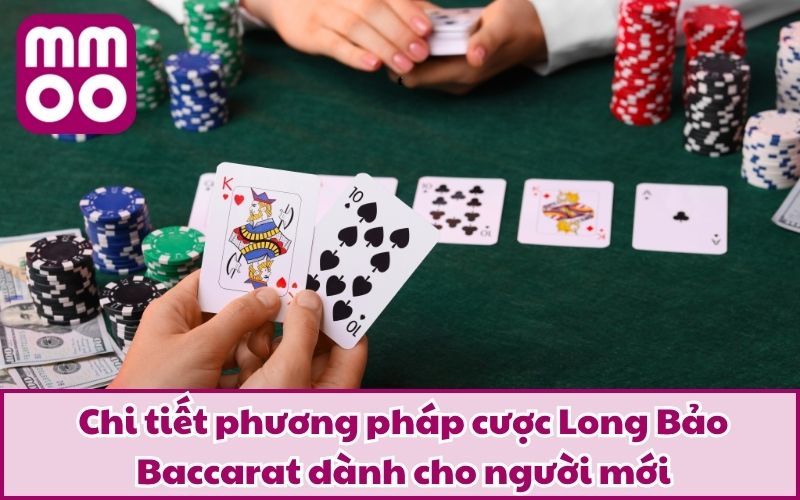 Chi tiết phương pháp cược Long Bảo Baccarat dành cho người mới