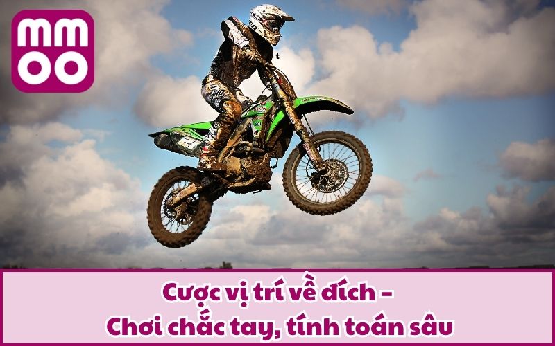 Cược vị trí về đích – Chơi chắc tay, tính toán sâu
