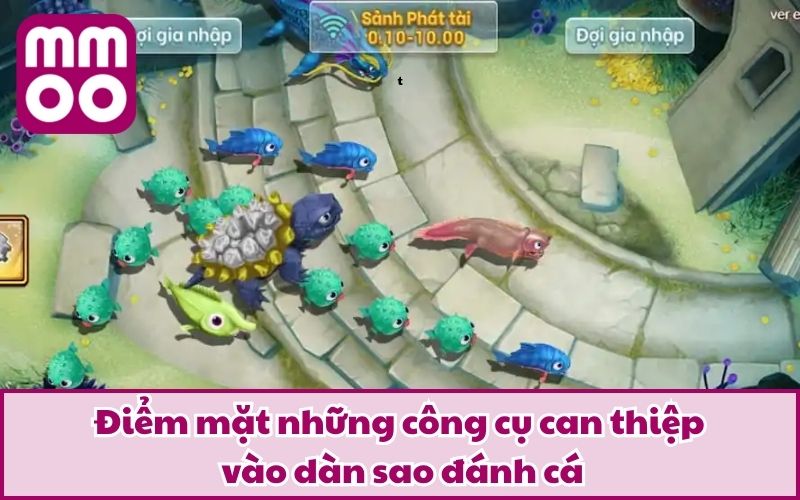 Điểm mặt những công cụ can thiệp vào dàn sao đánh cá